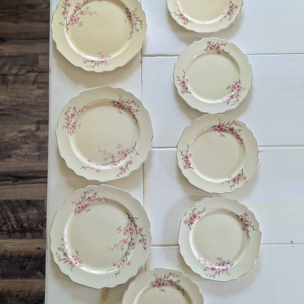 VTG 1930's LIDO W.S. George Canarytone USA 5 Dessert and 3 Salad Plates Floral